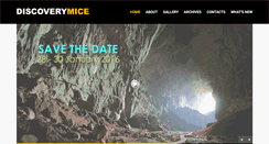 Desktop Screenshot of discoverymice.com