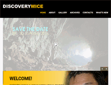 Tablet Screenshot of discoverymice.com